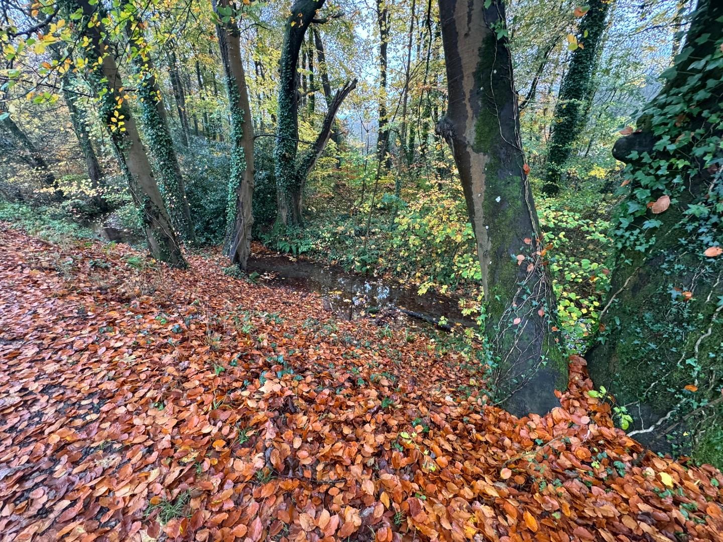 Approximately. 1.95 acres of Woodland Miskin, Pontyclun, CF72 8PE